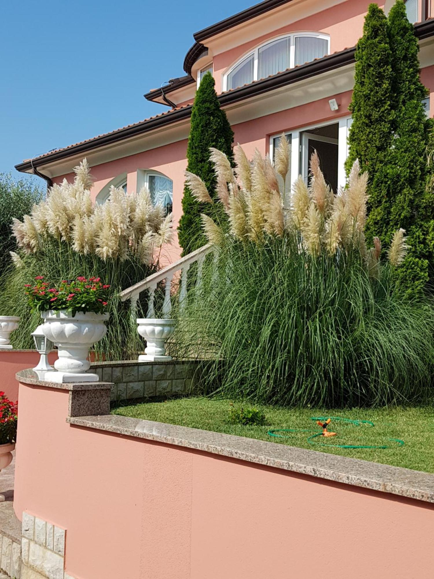 Apartments And Rooms Villa Chiara Krnica Exterior photo